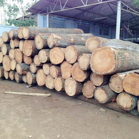 ABC-Round-Pine-Logs-southern-yellow-pine
