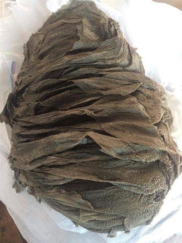 Dry salted Beef-Omasum.jpg33
