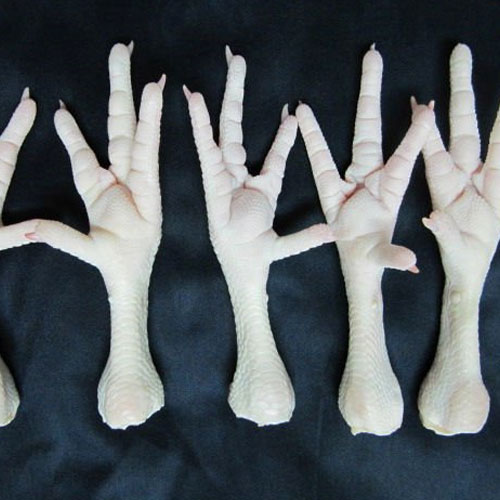 processed-quality-Halal-Frozen-Chicken-feet-and