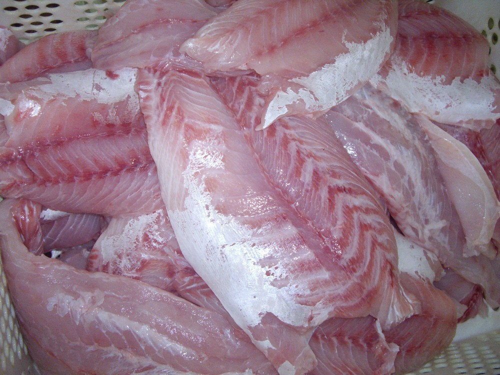 FROZEN-AND-FRESH--PERCH-FILLETS